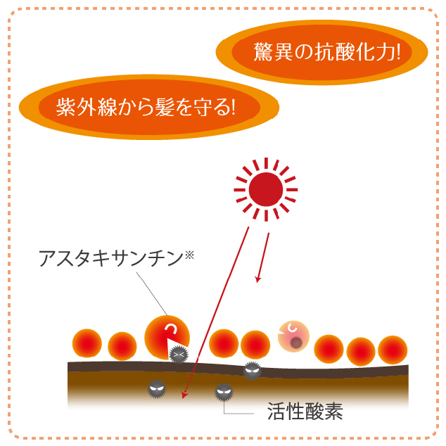 紫外線から髪を守る
