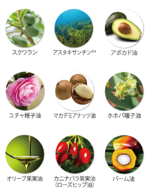 ９種類の天然オイルの理由