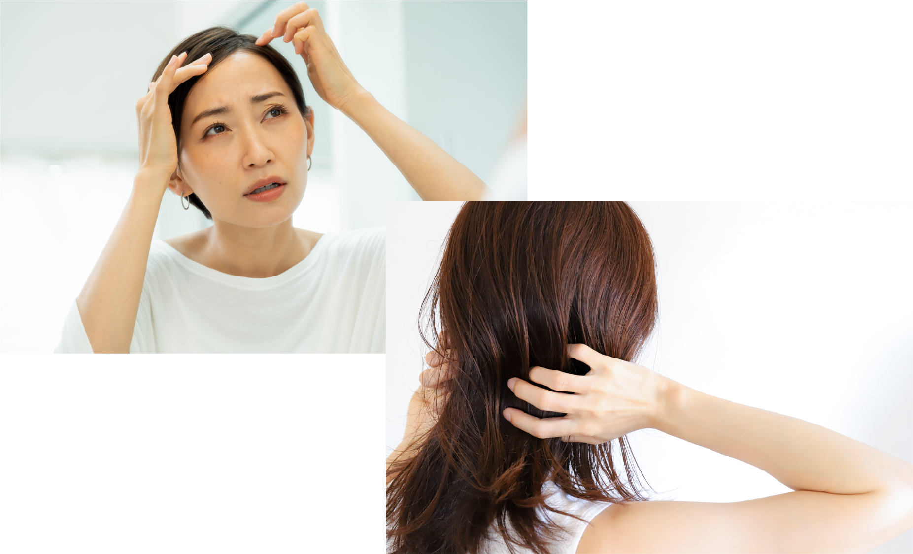 こんな方に。