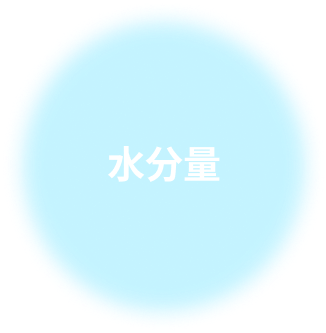 水分量