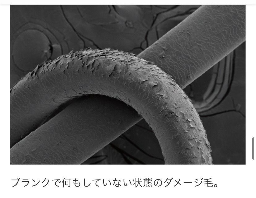 ガルバ ＣＭＣケアシャンプー 400ｇ＜パウチ＞