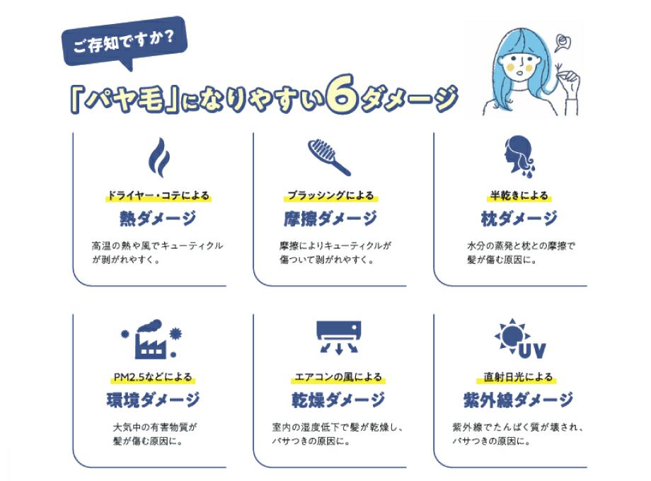 ガルバエマルジョン【リトルサイエンティスト】送料無料・正規品