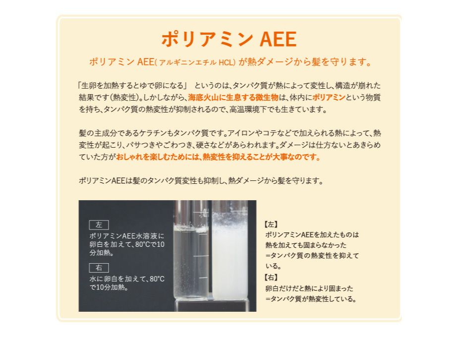 リケラミスト【リトルサイエンティスト】送料無料・正規品